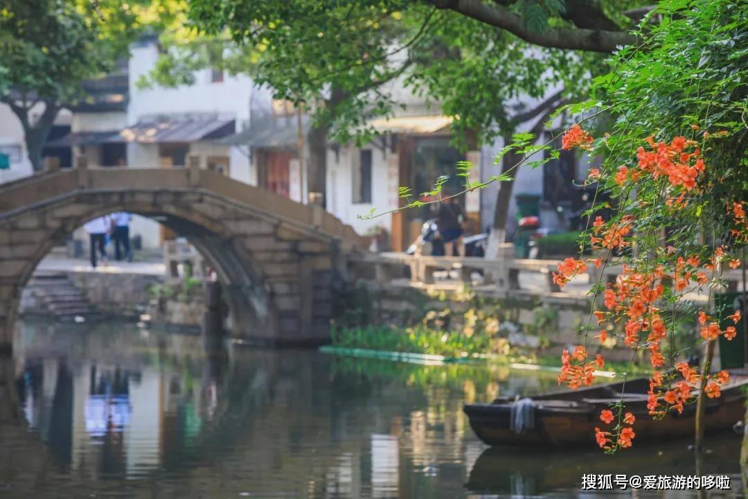 逃离椰子岛